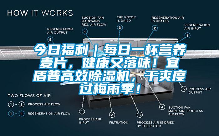 今日福利｜每日一杯營養麥片，健康又落味！宜盾普高效除濕機，干爽度過梅雨季！