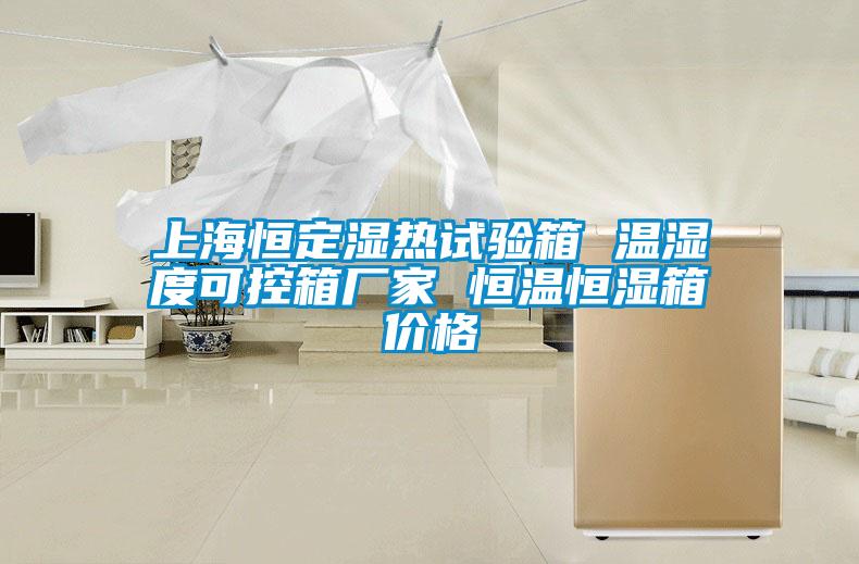 上海恒定濕熱試驗(yàn)箱 溫濕度可控箱廠(chǎng)家 恒溫恒濕箱價(jià)格