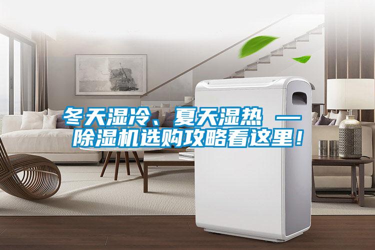 冬天濕冷、夏天濕熱 — 除濕機選購攻略看這里！