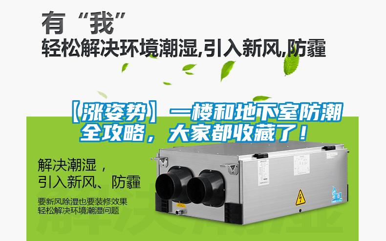 【漲姿勢】一樓和地下室防潮全攻略，大家都收藏了！
