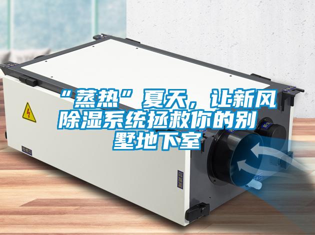 “蒸熱”夏天，讓新風(fēng)除濕系統(tǒng)拯救你的別墅地下室