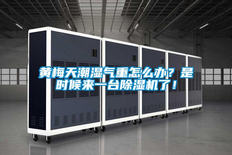 黃梅天潮濕氣重怎么辦？是時(shí)候來一臺(tái)除濕機(jī)了！