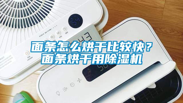 面條怎么烘干比較快？面條烘干用除濕機