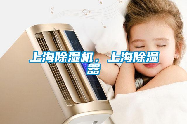 上海除濕機，上海除濕器