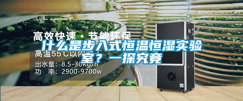 什么是步入式恒溫恒濕實(shí)驗(yàn)室？一探究竟