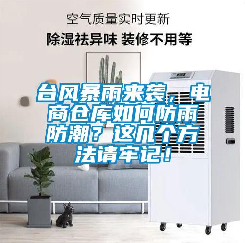 臺風暴雨來襲，電商倉庫如何防雨防潮？這幾個方法請牢記！