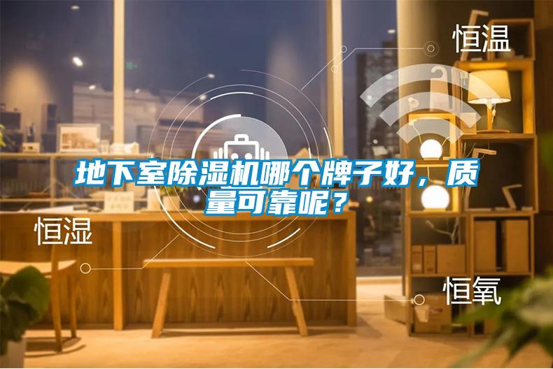 地下室除濕機哪個牌子好，質量可靠呢？