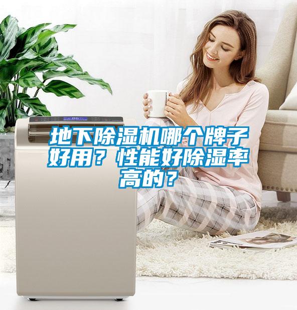 地下除濕機哪個牌子好用？性能好除濕率高的？