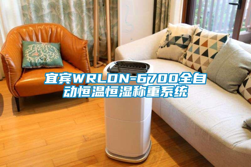 宜賓WRLDN-6700全自動(dòng)恒溫恒濕稱(chēng)重系統(tǒng)