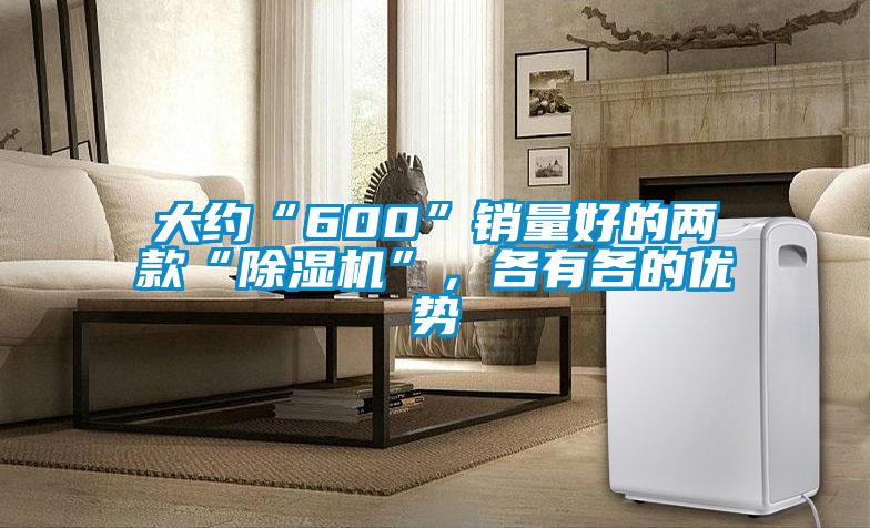 大約“600”銷量好的兩款“除濕機”，各有各的優勢