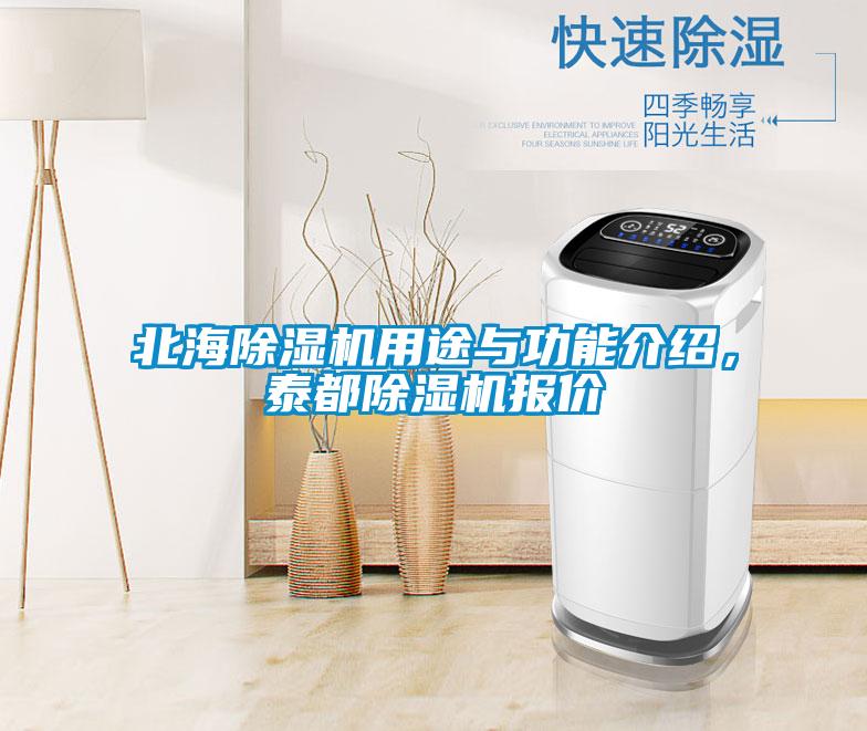 北海除濕機用途與功能介紹，泰都除濕機報價