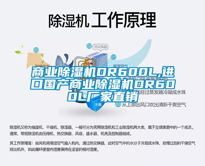 商業(yè)除濕機(jī)DR600L,進(jìn)口國(guó)產(chǎn)商業(yè)除濕機(jī)DR600L廠(chǎng)家直銷(xiāo)