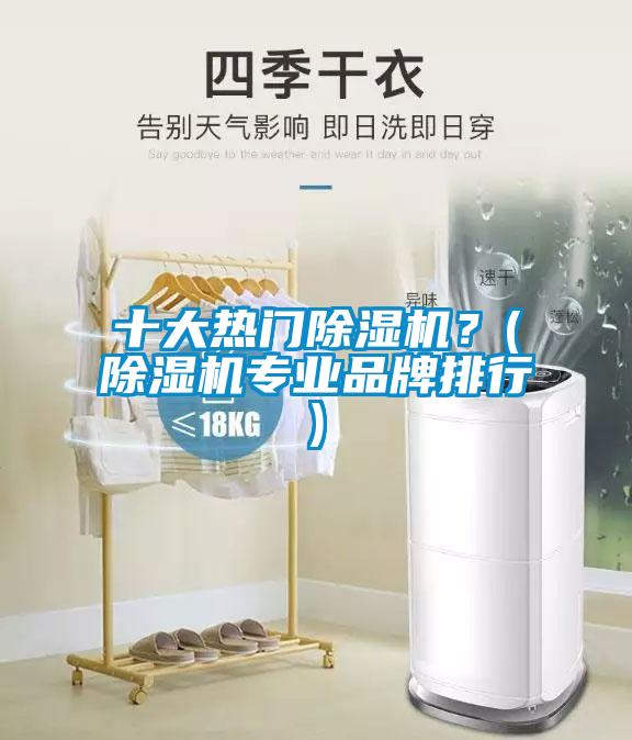 十大熱門(mén)除濕機(jī)？(除濕機(jī)專業(yè)品牌排行)