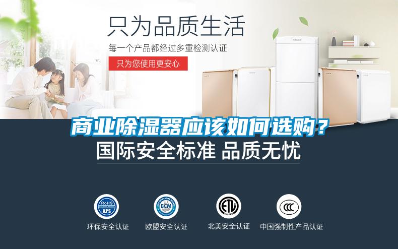 商業除濕器應該如何選購？