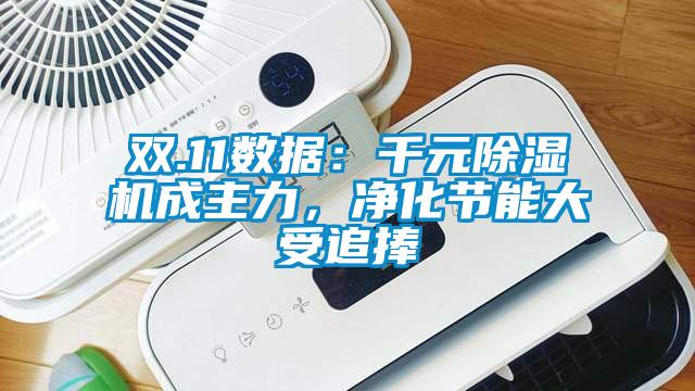 雙.11數(shù)據(jù)：千元除濕機成主力，凈化節(jié)能大受追捧