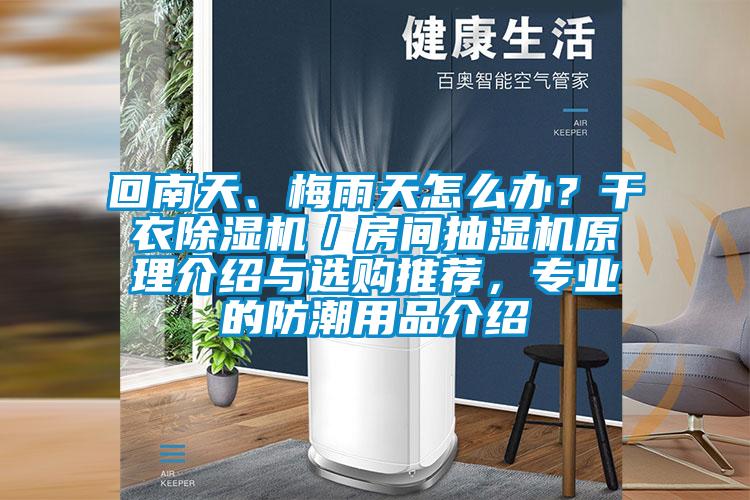 回南天、梅雨天怎么辦？干衣除濕機／房間抽濕機原理介紹與選購推薦，專業的防潮用品介紹