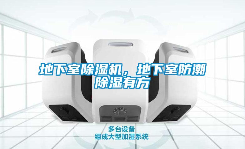 地下室除濕機(jī)，地下室防潮除濕有方