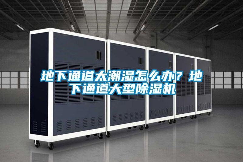 地下通道太潮濕怎么辦？地下通道大型除濕機