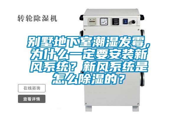 別墅地下室潮濕發霉，為什么一定要安裝新風系統？新風系統是怎么除濕的？
