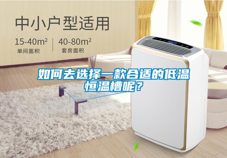 如何去選擇一款合適的低溫恒溫槽呢？