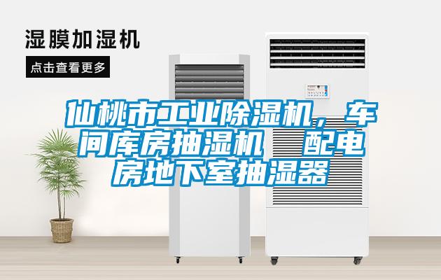 仙桃市工業除濕機，車間庫房抽濕機  配電房地下室抽濕器