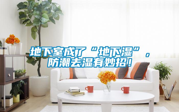 地下室成了“地下濕”，防潮去濕有妙招！