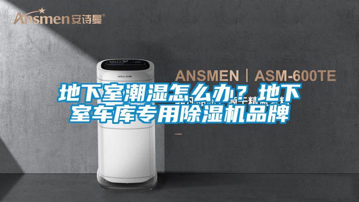 地下室潮濕怎么辦？地下室車庫專用除濕機(jī)品牌