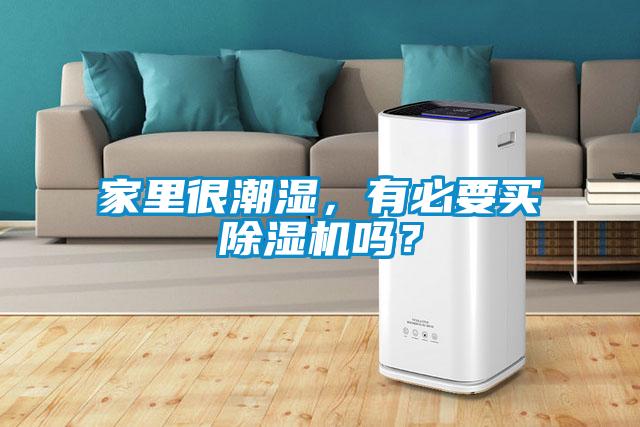家里很潮濕，有必要買除濕機嗎？