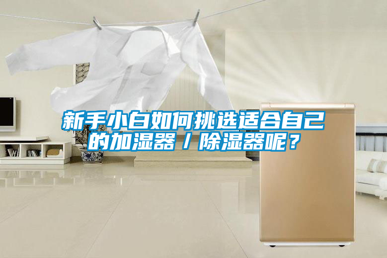 新手小白如何挑選適合自己的加濕器／除濕器呢？