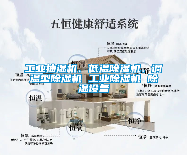 工業(yè)抽濕機、低溫除濕機、調(diào)溫型除濕機 工業(yè)除濕機 除濕設(shè)備