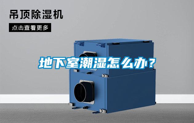 地下室潮濕怎么辦？