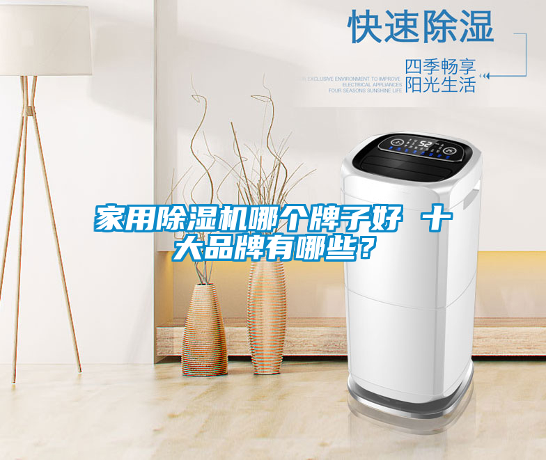 家用除濕機哪個牌子好 十大品牌有哪些？