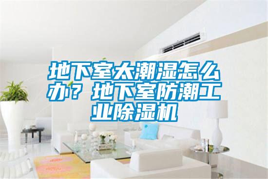 地下室太潮濕怎么辦？地下室防潮工業除濕機