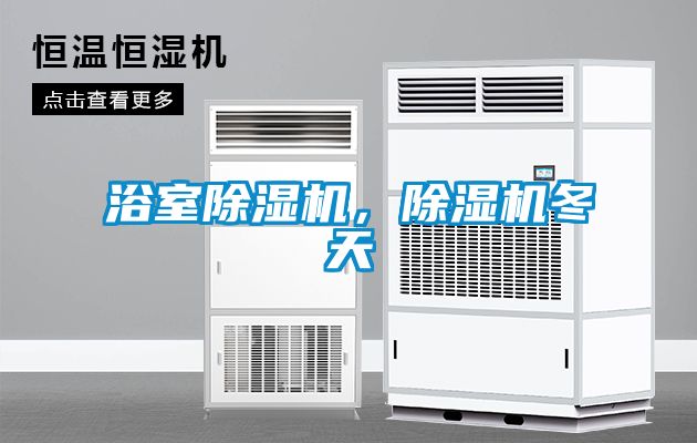 浴室除濕機(jī)，除濕機(jī)冬天