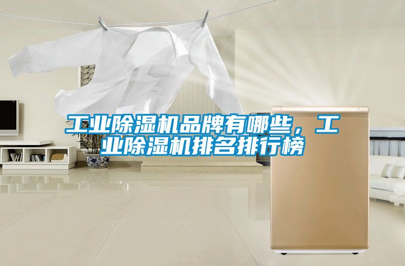 工業除濕機品牌有哪些，工業除濕機排名排行榜