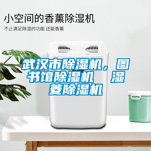 武漢市除濕機，圖書館除濕機  濕菱除濕機