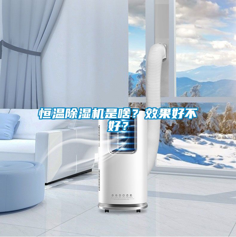 恒溫除濕機(jī)是啥？效果好不好？