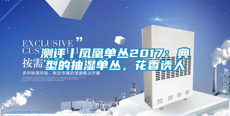 測(cè)評(píng)丨鳳凰單叢2017：典型的抽濕單叢，花香誘人