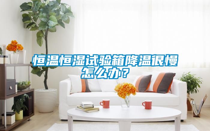 恒溫恒濕試驗箱降溫很慢怎么辦？