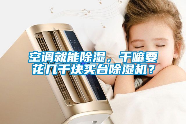 空調(diào)就能除濕，干嘛要花幾千塊買臺除濕機(jī)？