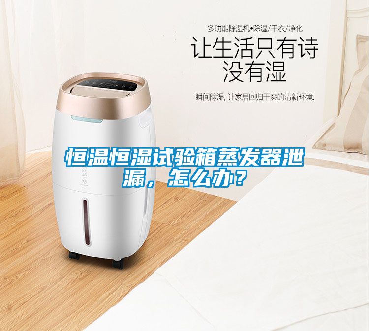 恒溫恒濕試驗(yàn)箱蒸發(fā)器泄漏，怎么辦？