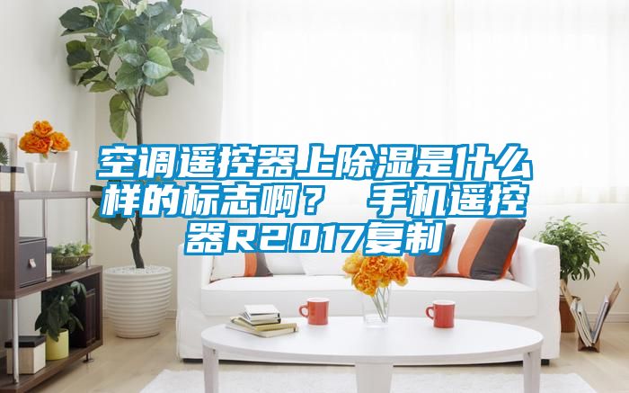 空調(diào)遙控器上除濕是什么樣的標(biāo)志??？ 手機遙控器R2017復(fù)制
