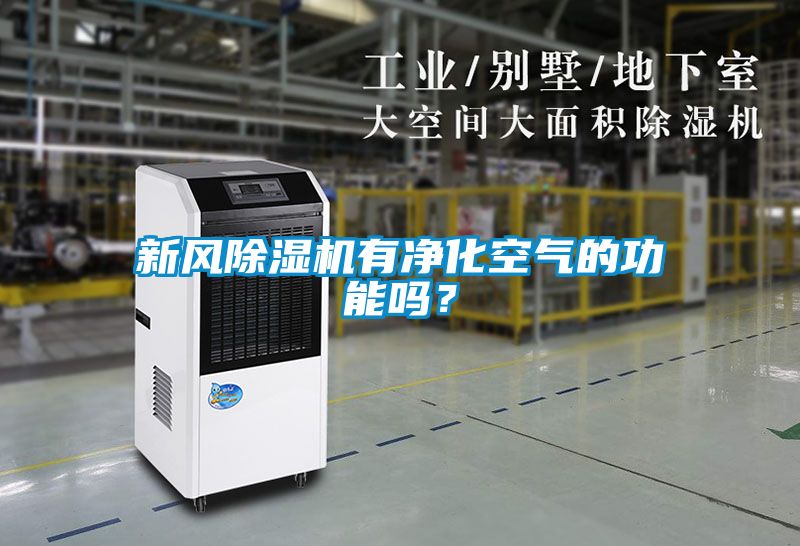 新風(fēng)除濕機(jī)有凈化空氣的功能嗎？