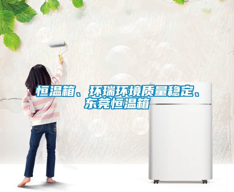 恒溫箱、環瑞環境質量穩定、東莞恒溫箱