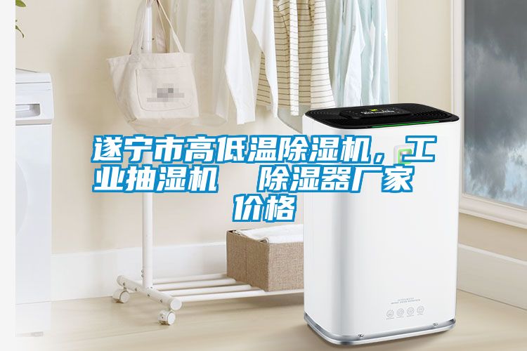 遂寧市高低溫除濕機(jī)，工業(yè)抽濕機(jī)  除濕器廠家 價(jià)格