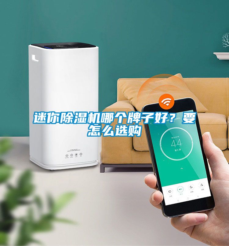迷你除濕機哪個牌子好？要怎么選購
