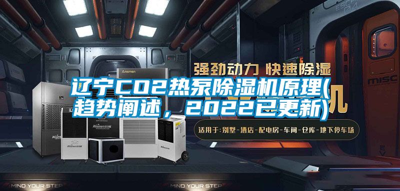 遼寧CO2熱泵除濕機原理(趨勢闡述，2022已更新)