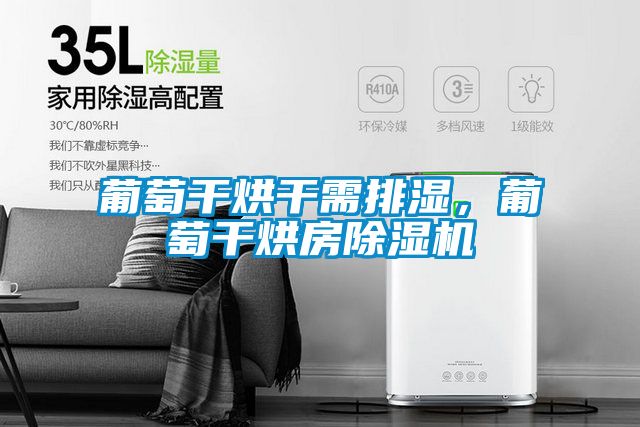 葡萄干烘干需排濕，葡萄干烘房除濕機