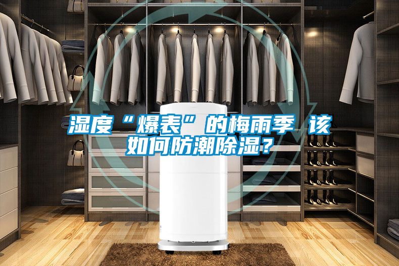 濕度“爆表”的梅雨季 該如何防潮除濕？