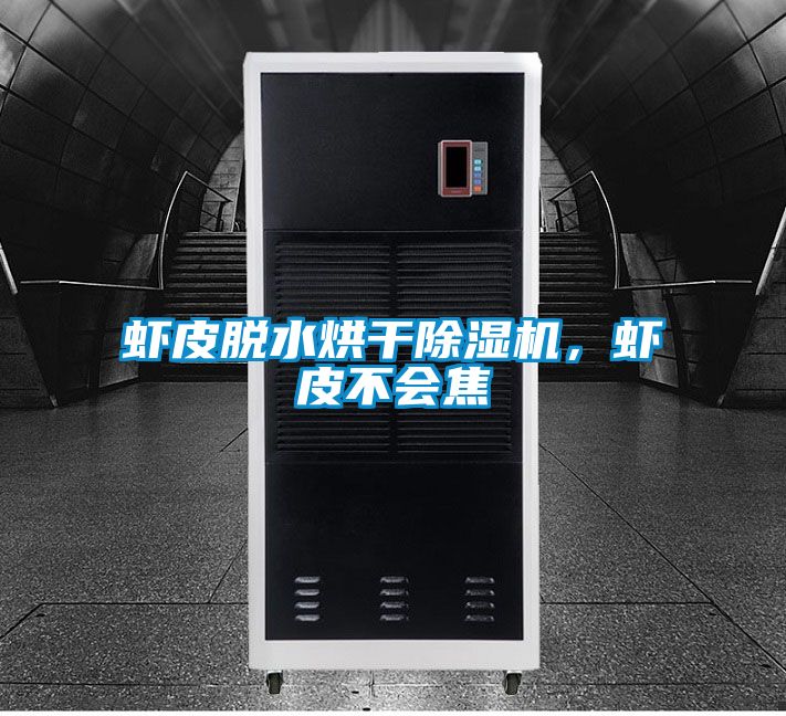 蝦皮脫水烘干除濕機，蝦皮不會焦